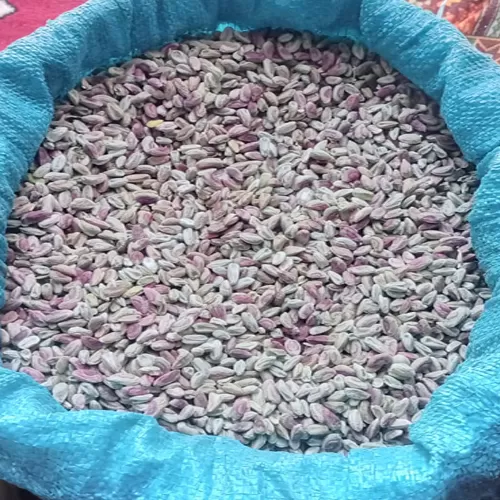 Afghan Pistachios