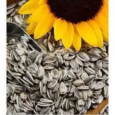 Sunflower Seeds