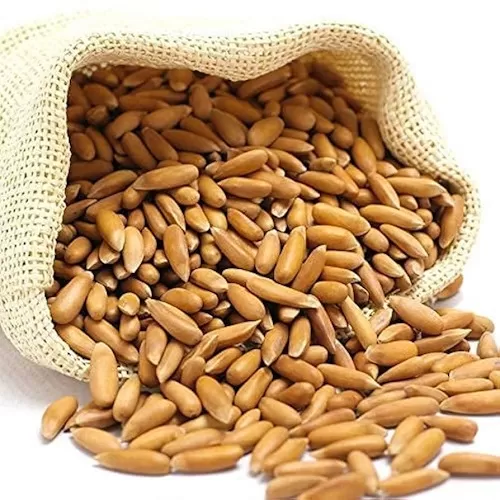 Pine Nuts